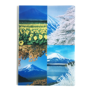 Trung quốc sản xuất tùy chỉnh in A4 Kích thước nhựa thư mục tập tin - Product Image 2