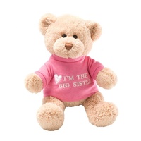 Boneka Teddy Bear Custom Isi Sendiri, Boneka Lembut dengan Kaos, Boneka Teddy Bear Klasik