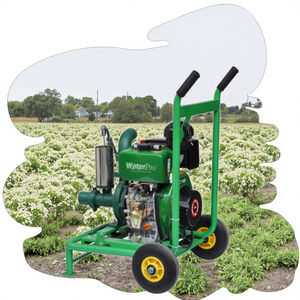 <span class=keywords><strong>Pompes</strong></span> <span class=keywords><strong>d</strong></span>'irrigation pour cultures, <span class=keywords><strong>d</strong></span>'<span class=keywords><strong>arrosage</strong></span> de vergers et de <span class=keywords><strong>d</strong></span>éshumidification des zones éloignées, moteur diesel haute pression 6 CV, homologuées CE - Product Image 3