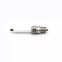 Double bougie à l'iridium compatible avec WARTSILA 34SG / 50SG / 20V34LPG