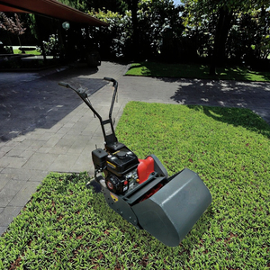17'' 20'' Petrol Powered Reel/ with Engine and Grass Box - Product Image 3