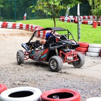Go-Kart Todoterreno de 200 CC para Adultos, Go-Kart de Pedales Todoterreno, Karting Todoterreno Comercial de Alto Rendimiento, Personalizable Según se Necesite