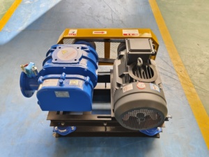 Souffleur à racines industrielles, pompe à air à déplacement positif refroidie par eau pour le traitement des eaux usées, tension 220V - Product Image 3