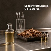 Santaleno CAS 512-61-8 Alfa Santaleno 80% Ingrediente de Fragancia para Aplicaciones de Aceite de Sándalo