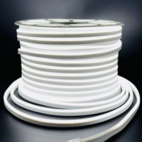 Tira de LED Flexible de Neón Blanca, 220V, 8x16mm, 100m, IP67 Impermeable, para Publicidad Exterior y Decoración de Bares, Certificación CE, Personalizable