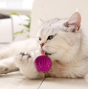 Jouet interactif pour chat : balle à griffer, corde en forme d'épée, accessoires pour animaux de compagnie, grandes balles de jeu pour chat, jouet à griffer pour chat - Product Image 6