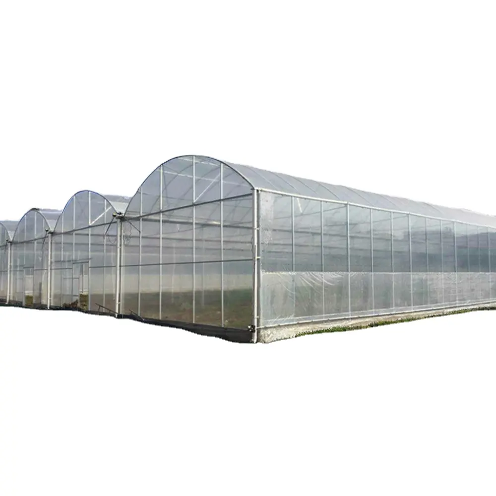 Terowongan rumah kaca plastik yang diperkuat baru untuk pertanian taman dan tanaman manufaktur