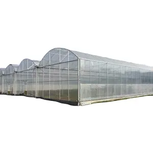 Nuevo Túnel de invernadero de plástico reforzado para granjas de jardines y plantas de fabricación