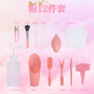 Kit d'outils pour plantes succulentes, 12 pièces, kit de jardinage en plastique pour la maison, balcon, cour, terrarium - Product Image 1