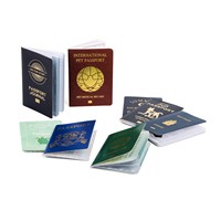 Passeport pour animaux de compagnie de haute qualité, carte personnalisée amusante en carton, design mignon pour animaux de compagnie