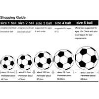 Ballon de Foot Lumineux et Réfléchissant qui Brille la Nuit, Taille 5, Personnalisable avec Logo