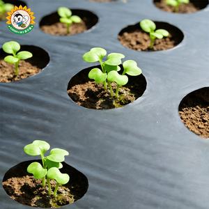 Film de paillage biodégradable à l'<span class=keywords><strong>acide</strong></span> fulvique pour la protection des cultures horticoles et agricoles, la prévention des mauvaises herbes et la maintenue de la fertilité du <span class=keywords><strong>sol</strong></span> - Product Image 6