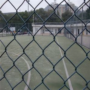 Xử lý nhiệt khung kim loại Chuỗi liên kết hàng rào lưới thép cho sân và sân bóng đá 3D được mô hình hóa cho các khu vườn và sử dụng ở Morocco - Product Image 3