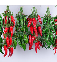 Décoration Murale de Noël : Légumes et Fleurs Artificiels (Piment, Pomme de Terre, Ail, Concombre, Tomates)