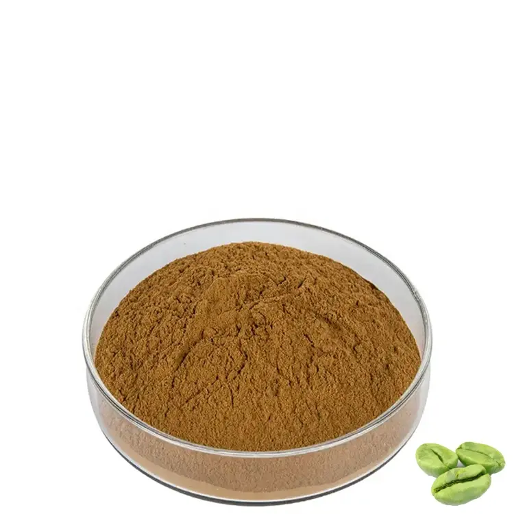 All'ingrosso Faitury 45% per uso alimentare 50% acido clorogenico verde chicco di caffè estratto in polvere