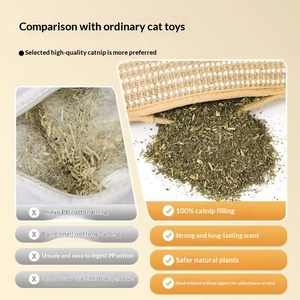 Coussin à chat à la catnip, jouet à mâcher auto-entretenant, résistant à la mastication, nettoyant pour les dents, friandise pour chat, anti-ennui, griffoir, fournitures - Product Image 3