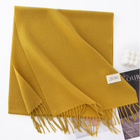 Quantité minimale de commande bas chaud doux Imitation cachemire gland cou écharpe moelleux Pashmina châle pour femmes hiver oblong adulte écharpes grand Stock