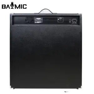 Pabrik OEM Amplifier Gitar Profesional 15 Inci 250W Amplifier Bass Speaker Peralatan Suara untuk Panggung KTV