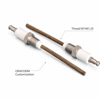 Sonde d'allumage en céramique d'alumine Al2O3 pour brûleur de chaudière et four industriel à gaz