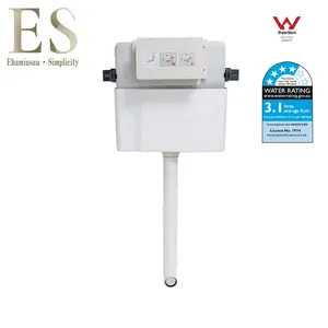 Watermark Certified Toilet Tank e Squatting Pan Cisterna Oculta