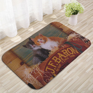 Tapis de bain rectangulaire antidérapant à motif de chat mignon, pour salle de bain, cuisine, lavage à l'eau, facile à nettoyer, design original - Product Image 2