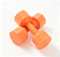 Ensemble d'haltères réglables 5KG / 10KG, design compact, entraînement de force à domicile, poids pour la musculation en salle de sport