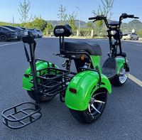 Triciclo Eléctrico de Carga de 3 Ruedas con Suspensión Completa de 3000W, Capacidad de Carga de 330 kg, Alcance de 60-80 km, CityCoco para Uso Urbano
