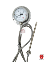 Capillary Thermometer 0-100C Rigid Stem SS304 Case 270mm Dial OEM/ODM IP66 Customizable Probe Length Class 1.5 Accuracy for