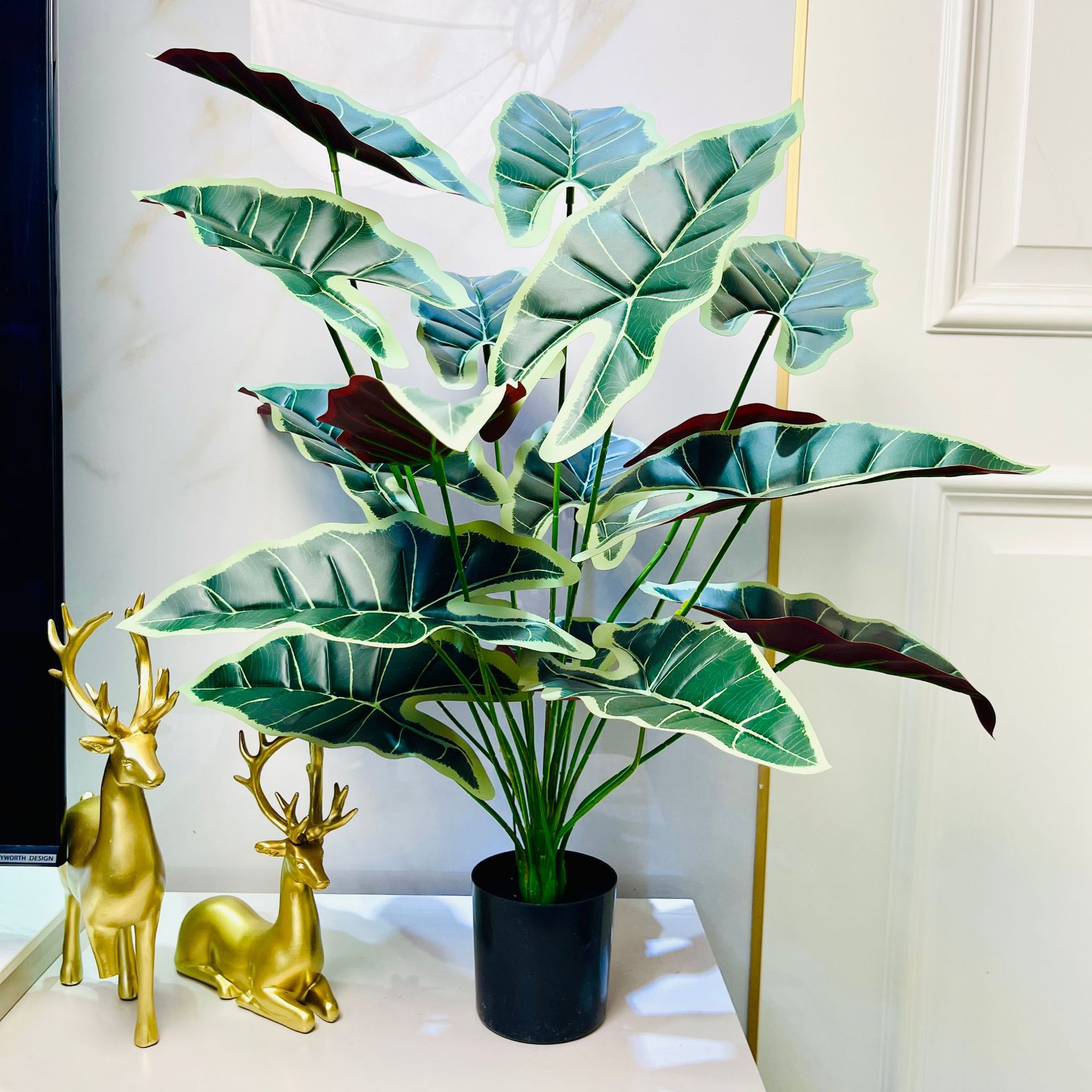 Plante de pomme de terre à feuilles de dentelle