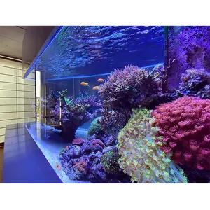 Super Grand Et Clair Sur Mesure Acrylique Aquarium, Guppy Aquarium #