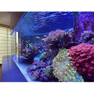 生きている海洋の美しくてユニークなアクリルフィッシュボウル、人魚のための巨大な水族館 # - Product Image 3