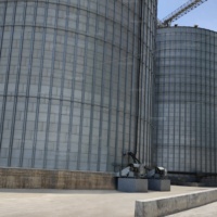 Silo di stoccaggio per grani in acciaio zincato a caldo | 500T-10000T personalizzabile Silo in acciaio ondulato imbullonato per riso di frumento di mais