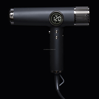 Sèche-cheveux professionnel à moteur BLDC ultra-rapide, ionique, avec embout concentrateur et diffuseur pour usage commercial et domestique