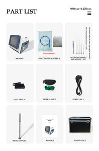 Dispositivo Láser Terapéutico Endoláser de Doble Longitud de Onda 980 Nm 1470 Nm para Eliminar Hongos en las Uñas y Arañas Vasculares - Product Image 6