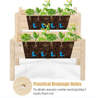 Lit de jardinières en bois à 2 niveaux avec pied Fournitures de jardin à domicile Lit de jardin surélevé pour fleurs et plantes