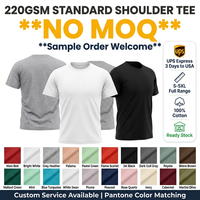 T-shirt épais 220g en stock pour dropshipping, 100% coton, uni, vente en gros, impression de logo personnalisé, tailles S M L XL