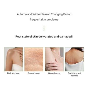 Custom Logo Natural Organic <b>Cream</b> Moisturizing Lightening Refreshing Smoothing Green Tea Body Lotion - Product Image 6