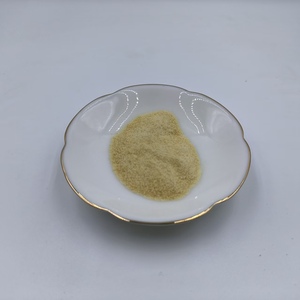Hot Sale Supplement AKK Akkermansia Muciniphila Probiotic 100 Billion Akkermansia Muciniphila Powder - Product Image 4