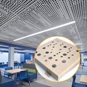Plaques de <span class=keywords><strong>plafond</strong></span> métalliques perforées sur mesure, ignifuges classe A, <span class=keywords><strong>pour</strong></span> bureaux, hôtels, centres commerciaux et salles de sport, avec installation sur grille de <span class=keywords><strong>plafond</strong></span> - Product Image 1
