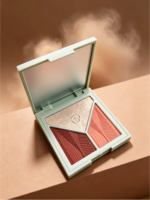 Palette de maquillage multifonctionnelle pour le visage, surligneur et fard à joues en poudre