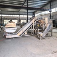 Machine automatique de découpe et de décongélation horizontale pour viande de bœuf et de mouton congelée, capacité 800L-2000L