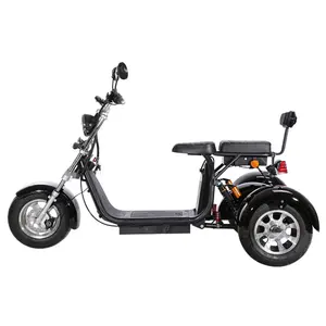 Best Electric Off Road 3 Wheel Tricycle Scooter Adult Motorcycle Tricycles 2000w Three Wheels Scooter Citycoco