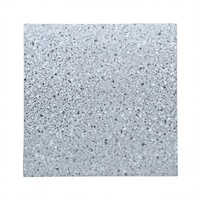 Carreaux de porcelaine antidérapants et résistants aux acides de haute technologie 10 mm 60x60 mm, modernes pour sols/murs intérieurs d'appartements, salons et villas