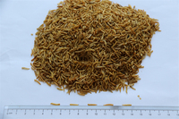 Fabrikant Supply Professionele Heerlijke Gedroogde Droog Maden Huisdier Voedsel Fly Larven