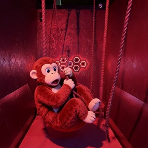 Jeu de divertissement sportif interactif en intérieur : Défi d'escalade physique, <span class=keywords><strong>Escape</strong></span> Room Quandary, Corde oscillante - Product Image 4