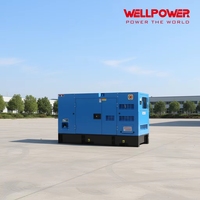 Fabricante de Grupos Electrógenos Diésel, Generador Diésel Super Silencioso Stamford de 50 Kva