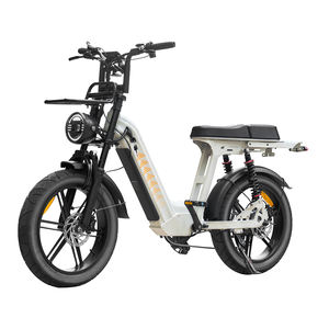 Vélo électrique de ville D50 au meilleur prix, moteur 250W, batterie 48V, pneus larges, double amortisseur, autonomie 50km, avec porte-bagages avant - Product Image 2