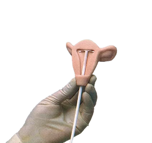 Modelo avanzado de enfermería anticonceptiva intrauterina femenina tamaño real PVC duradero para entrenamiento de dispositivos anticonceptivos intrauterinos - Product Image 2