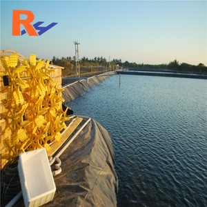 แผ่นกันซึม HDPE ขนาด 0.5 มม. สำหรับ<span class=keywords><strong>บ่อ</strong></span>เลี้ยง<span class=keywords><strong>ปลา</strong></span> กุ้ง <span class=keywords><strong>ปลา</strong></span>ทูน่า <span class=keywords><strong>ปลา</strong></span>แวนนาไม <span class=keywords><strong>ปลา</strong></span>ไนเจอร์ <span class=keywords><strong>ปลา</strong></span>ส้ม ใช้งานได้นาน 10 ปี - Product Image 1