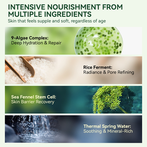 Sérum Raffermissant aux Algues Vertes Marque Privée OEM, Essence Réparatrice Marine Avancée Anti-Âge, Sérum Liftant et Contourant pour le Visage, Faible MOQ - Product Image 3